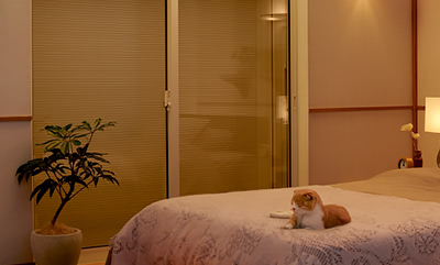 シャッター 寝室 シャッター 寝室 防音