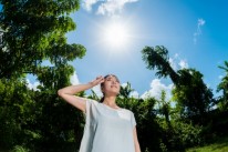 酷暑の夏の写真