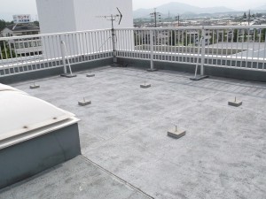 DSCF1035 DSCF1035