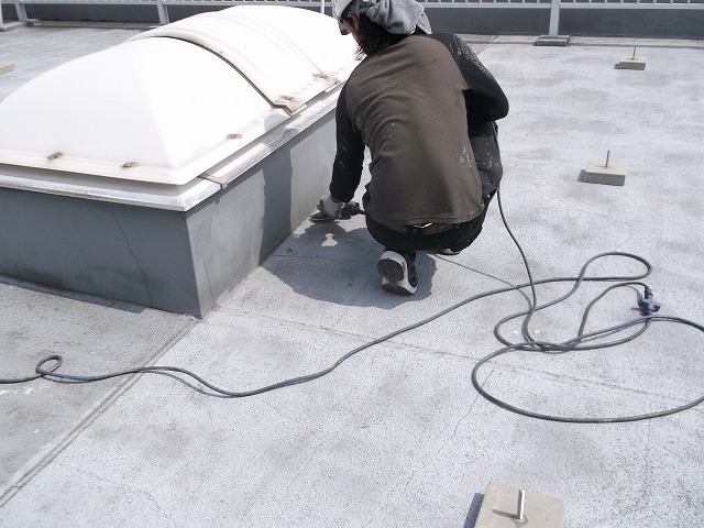 DSCF1048 DSCF1048