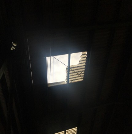 IMG_1626 IMG_1626