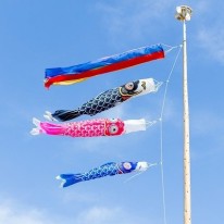 carp-streamer-2259553_640-2