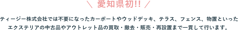 愛知県初