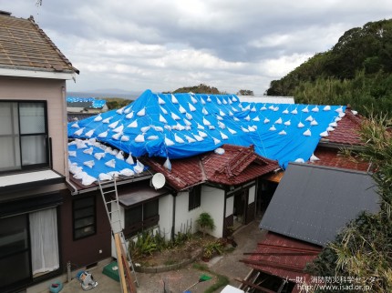 屋根の被害